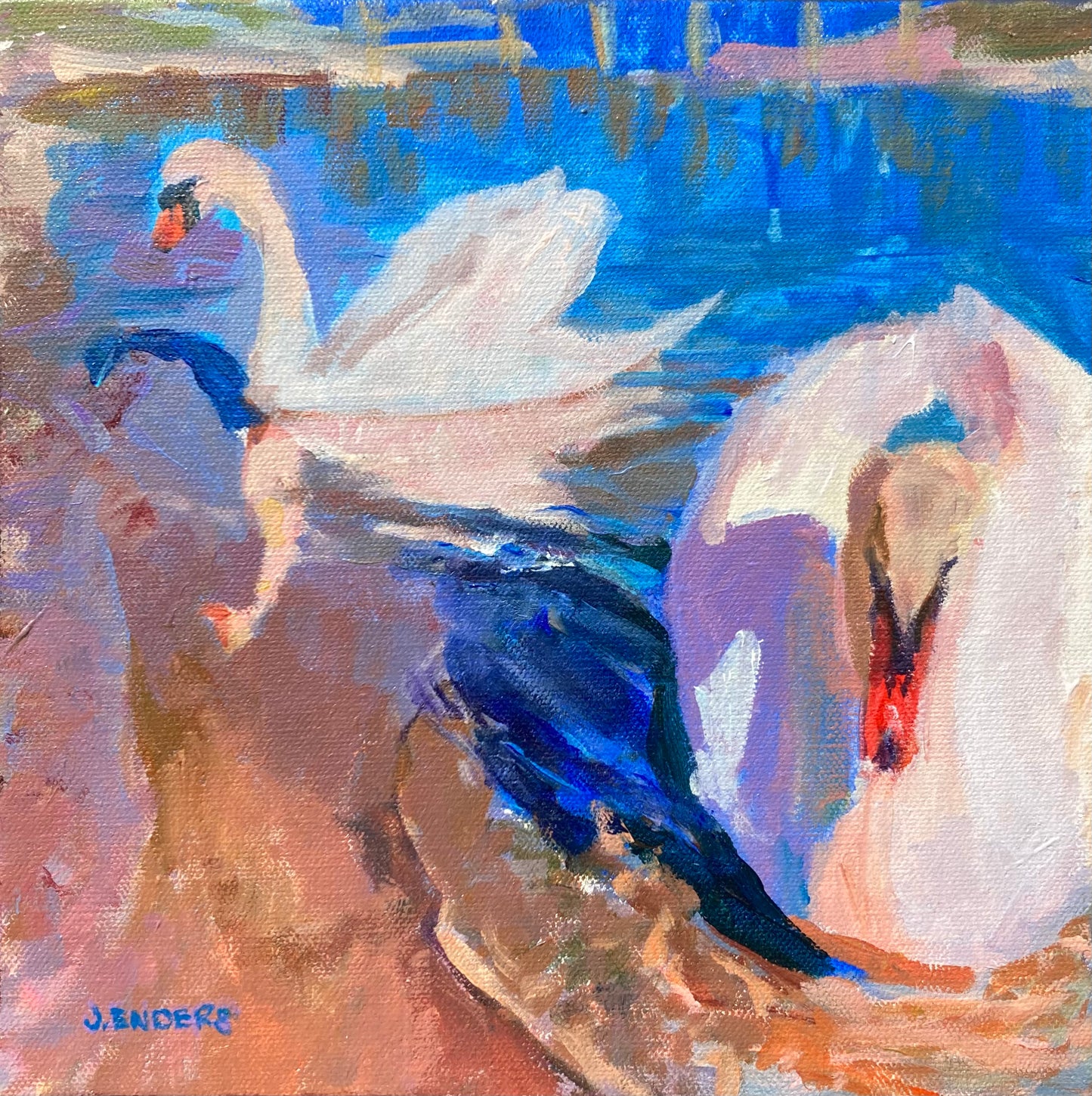 “Naples Swans #1” Reproduction