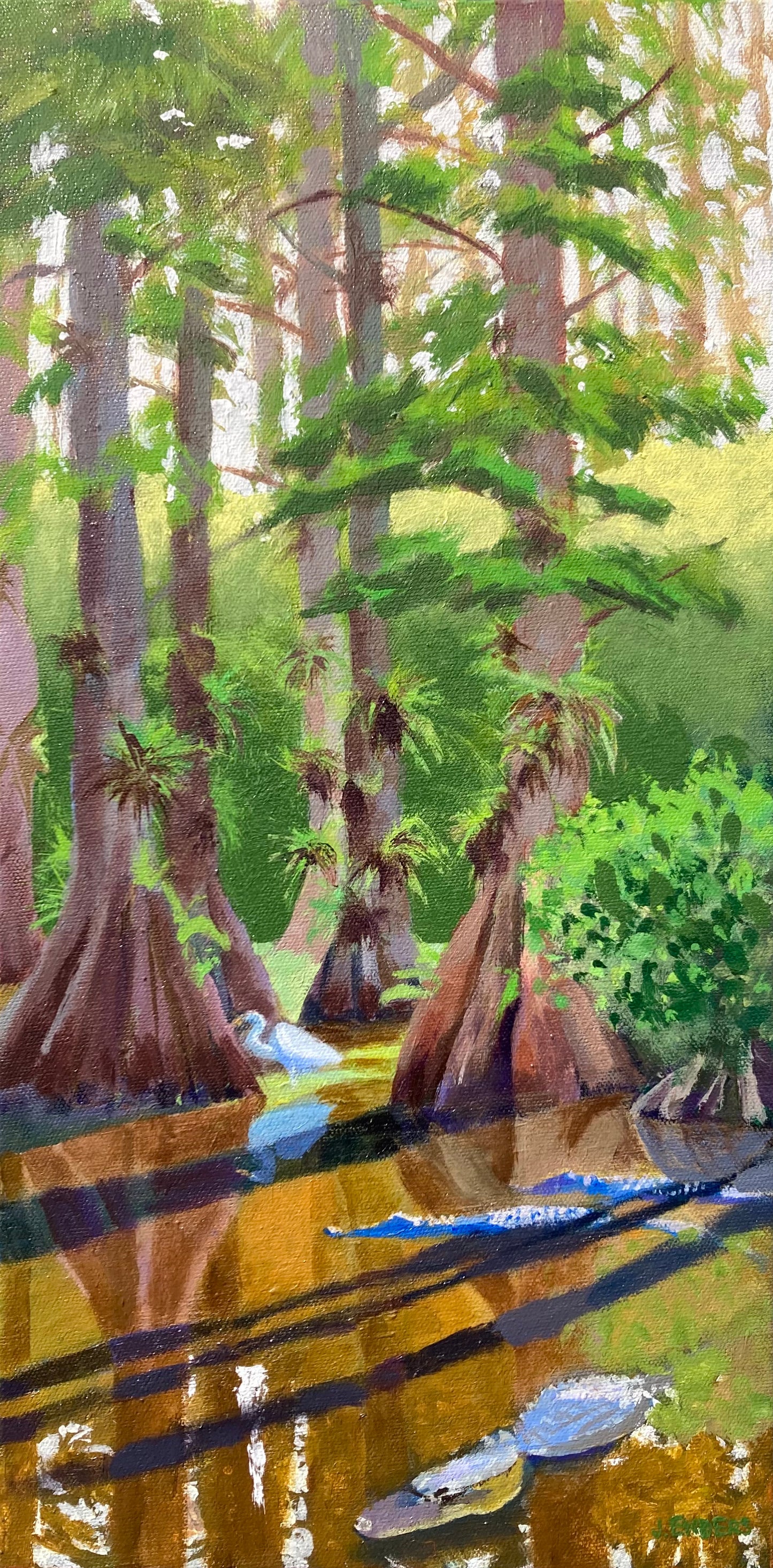 “Big Cypress National Preserve” Reproduction