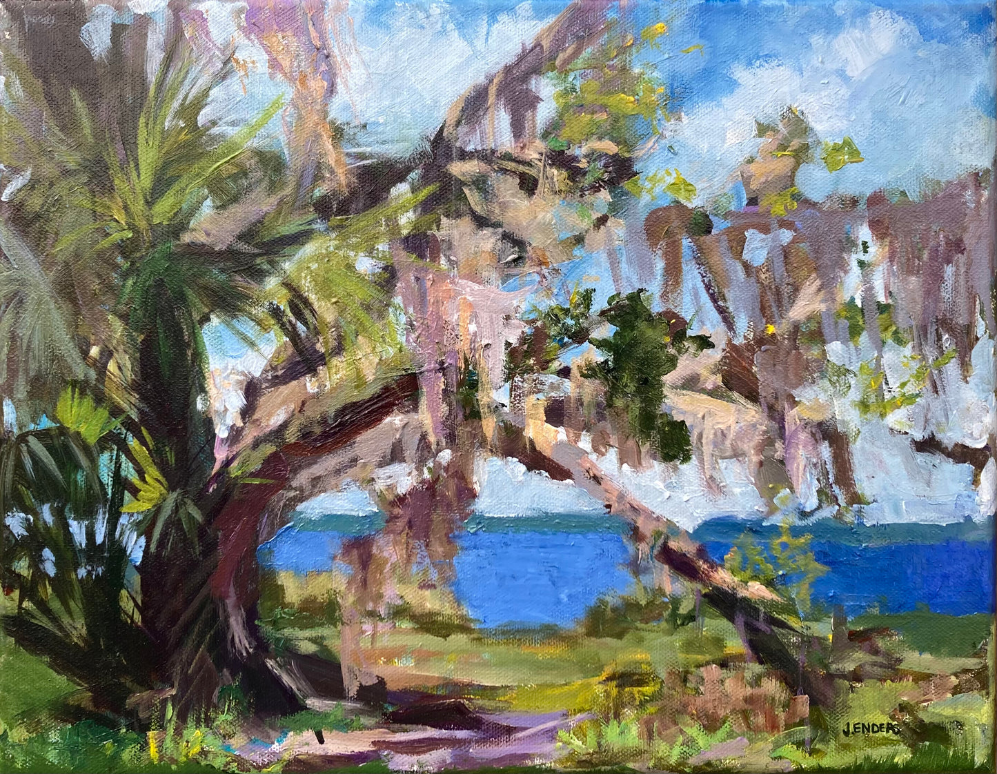 “Mystical Oak at Myakka” Reproduction